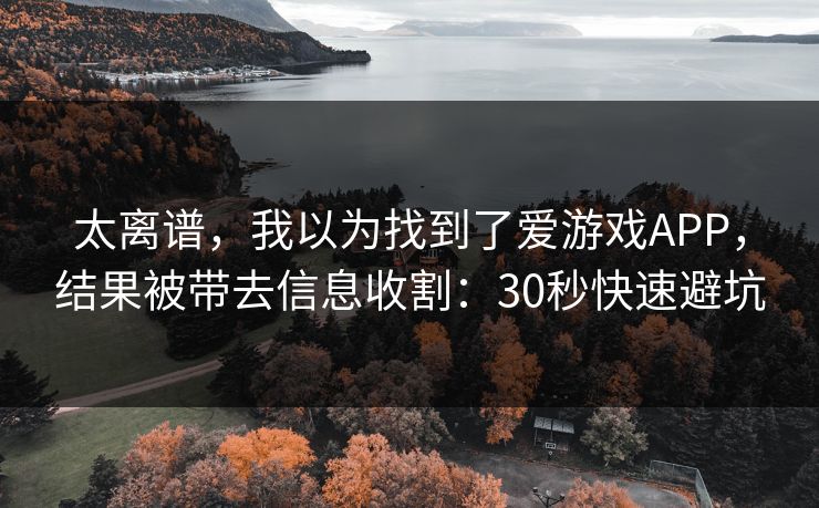 太离谱，我以为找到了爱游戏APP，结果被带去信息收割：30秒快速避坑